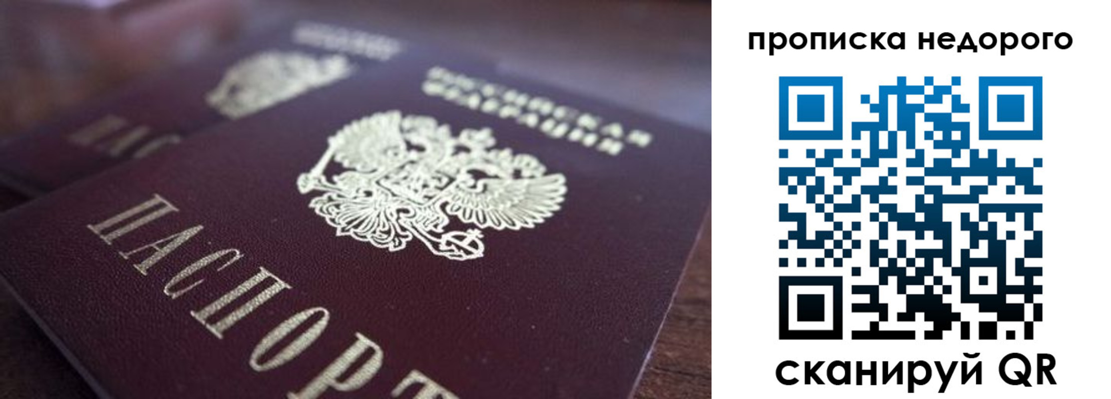 прописка штамп в Новозыбкове